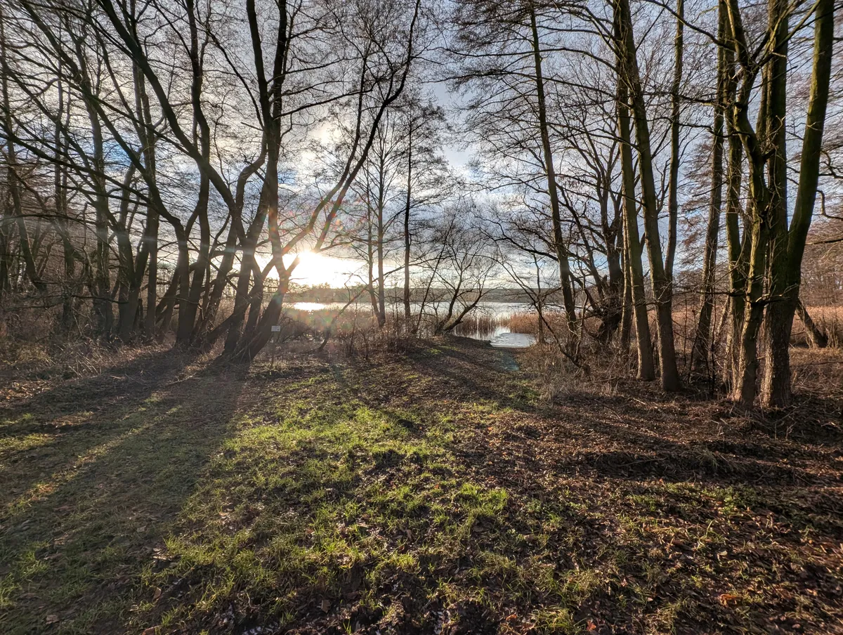Blick vom Waldrand auf den Naugartener See
